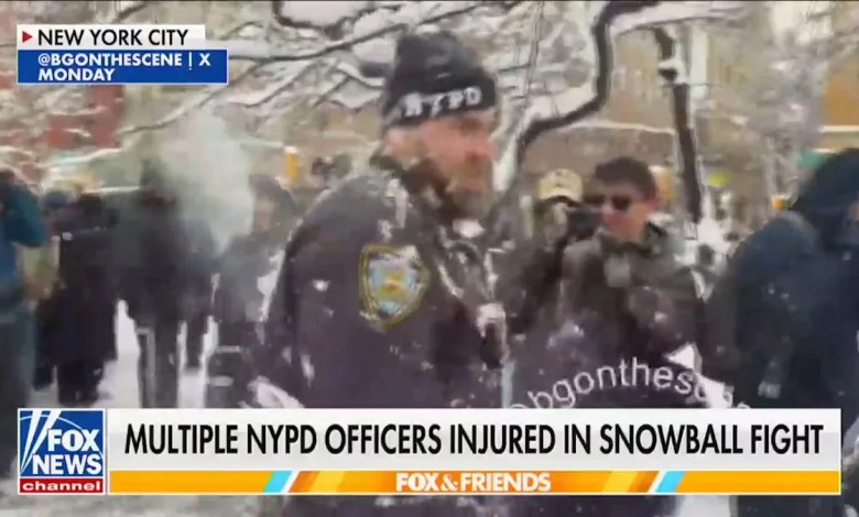 ‘If Anyone’s Catching a Snowball, It’s Me’ ‘If Anyone’s Catching a Snowball, It’s Me’