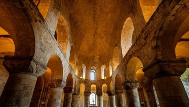Archaeologists Excavated the Tower of London—and Unearthed Dozens of Hidden Skeletons Archaeologists Excavated the Tower of London—and Unearthed Dozens of Hidden Skeletons
