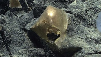 Mysterious golden orb discovered on the ocean floor near Alaska is identified over 2 years later Mysterious golden orb discovered on the ocean floor near Alaska is identified over 2 years later