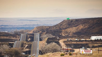 Texas sues utility company to recover damages from historic wildfire sparked by downed power lines Texas sues utility company to recover damages from historic wildfire sparked by downed power lines