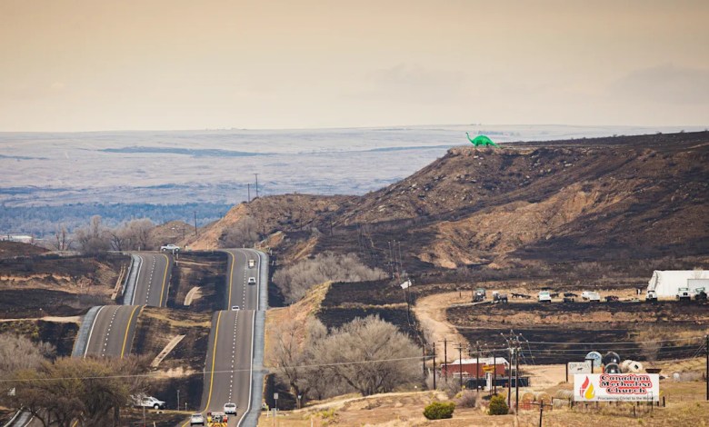 Texas sues utility company to recover damages from historic wildfire sparked by downed power lines Texas sues utility company to recover damages from historic wildfire sparked by downed power lines