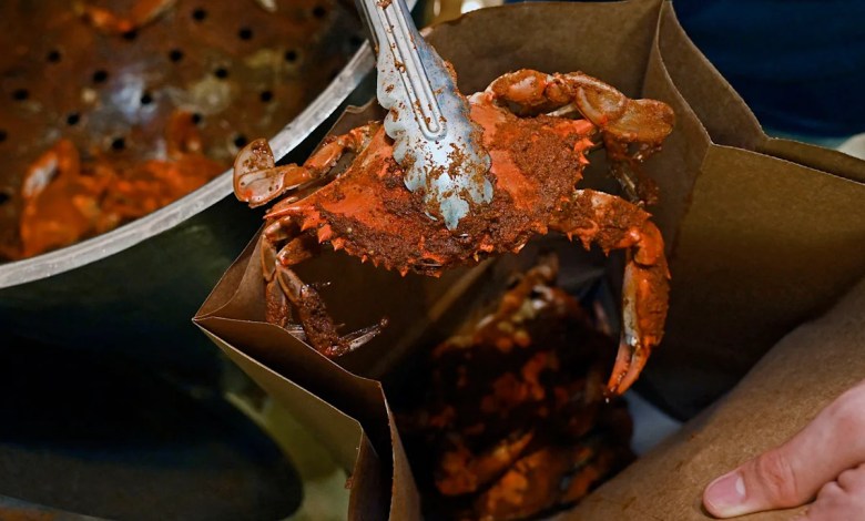 Who eats the most Maryland blue crabs every year? Spoiler: it’s not people. Who eats the most Maryland blue crabs every year? Spoiler: it’s not people.