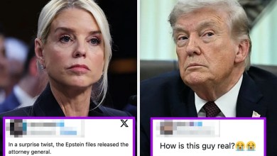 46 Of The Very Best Political Tweets Of The Week 46 Of The Very Best Political Tweets Of The Week