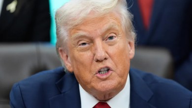 Democrats did not shut down the government to give health care to ‘illegal immigrants’ Democrats did not shut down the government to give health care to ‘illegal immigrants’