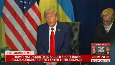 Trump Stuns With Answer on If NATO Should Shoot Down Russian Aircraft: ‘Heck of a Statement’ Trump Stuns With Answer on If NATO Should Shoot Down Russian Aircraft: ‘Heck of a Statement’