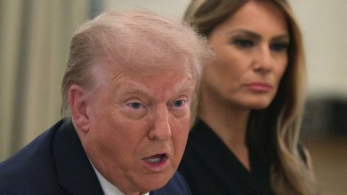 The Most Unlikely Symbol Of Resistance Is Popping Up ALL Over Washington DC, And I Really Don’t Think You’ll Be Able To Guess It The Most Unlikely Symbol Of Resistance Is Popping Up ALL Over Washington DC, And I Really Don’t Think You’ll Be Able To Guess It