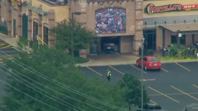 Officials release new details on 2-year-old’s death, driver involved Officials release new details on 2-year-old’s death, driver involved