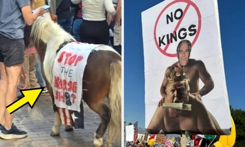 Here’s A Bunch Of “No Kings” Protest Signs That Are Just Too Dang Good Here’s A Bunch Of “No Kings” Protest Signs That Are Just Too Dang Good