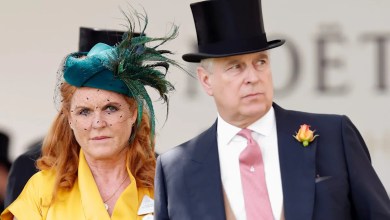 Stripping Prince Andrew of titles is ‘window dressing’, biographer claims Stripping Prince Andrew of titles is ‘window dressing’, biographer claims
