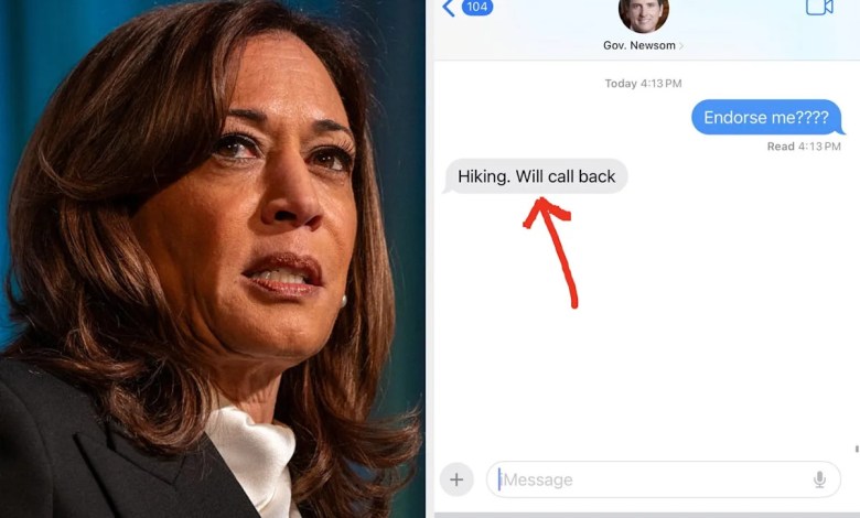 Gavin Newsom’s Text To Kamala Harris Is Going Viral For Obvious Reasons Gavin Newsom’s Text To Kamala Harris Is Going Viral For Obvious Reasons