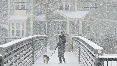 Charlotte snow total now may hit 13 inches. Roads are a mess, and CLT delays mount Charlotte snow total now may hit 13 inches. Roads are a mess, and CLT delays mount