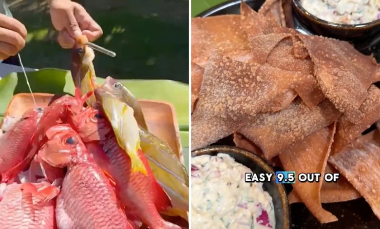 ‘One of the best tasting fish out there’ ‘One of the best tasting fish out there’