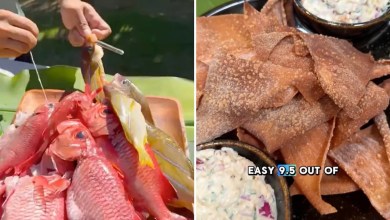 ‘One of the best tasting fish out there’ ‘One of the best tasting fish out there’