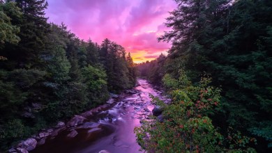 ‘The trend … is actually increasing faster’ ‘The trend … is actually increasing faster’