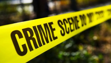 Co-founder of popular clothing brand dies after 17-story fall Co-founder of popular clothing brand dies after 17-story fall