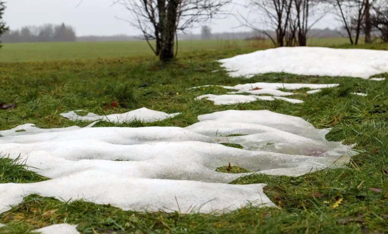 ‘You should rethink what you’re doing’ ‘You should rethink what you’re doing’