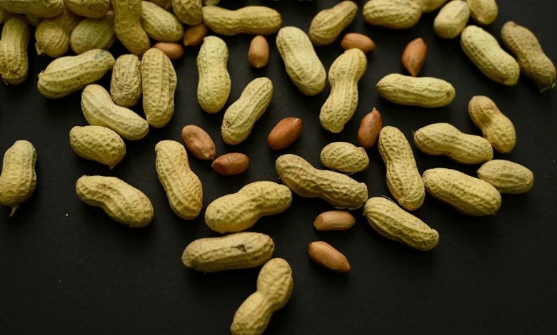 Advice to feed babies peanuts early and often helped 60,000 kids avoid allergies, study finds Advice to feed babies peanuts early and often helped 60,000 kids avoid allergies, study finds