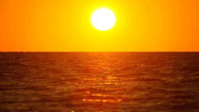 Scientists warn ‘warm blob’ anomaly in Pacific Ocean could make this winter brutal: ‘Spanning a vast region’ Scientists warn ‘warm blob’ anomaly in Pacific Ocean could make this winter brutal: ‘Spanning a vast region’