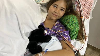 Man who rushed in to aid girl bitten in Boca Grande shark attack now facing deportation Man who rushed in to aid girl bitten in Boca Grande shark attack now facing deportation