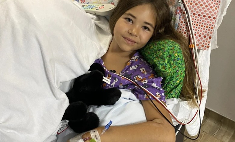 Man who rushed in to aid girl bitten in Boca Grande shark attack now facing deportation Man who rushed in to aid girl bitten in Boca Grande shark attack now facing deportation