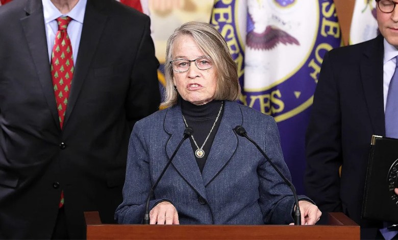 ‘Queen of DEI’ running for Congress ripped her rural state as ‘backwards’ on podcast ‘Queen of DEI’ running for Congress ripped her rural state as ‘backwards’ on podcast