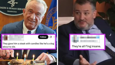 49 Brutal, Brutal, Brutal Political Tweets Of The Last Month 49 Brutal, Brutal, Brutal Political Tweets Of The Last Month