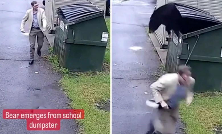 Security camera captures moment when school principal makes shocking discovery in dumpster: ‘Attracted to food sources’ Security camera captures moment when school principal makes shocking discovery in dumpster: ‘Attracted to food sources’