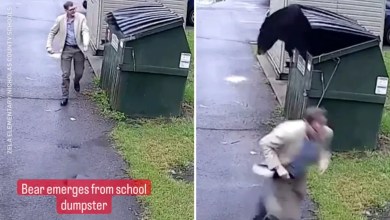 Security camera captures moment when school principal makes shocking discovery in dumpster: ‘Attracted to food sources’ Security camera captures moment when school principal makes shocking discovery in dumpster: ‘Attracted to food sources’