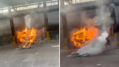 Experts issue urgent warning after discovering ‘exploding zombie’ phenomenon across the country Experts issue urgent warning after discovering ‘exploding zombie’ phenomenon across the country