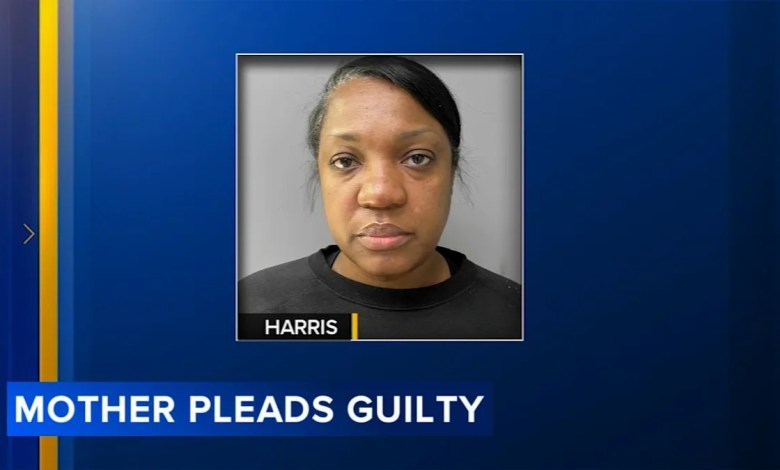 Mom pleads guilty to murder after son dies from prolonged neglect: DA Mom pleads guilty to murder after son dies from prolonged neglect: DA