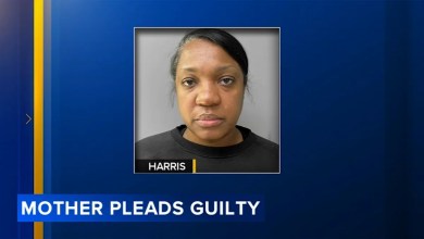 Mom pleads guilty to murder after son dies from prolonged neglect: DA Mom pleads guilty to murder after son dies from prolonged neglect: DA