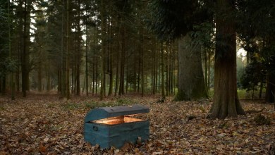 A Woman Went for a Casual Walk—and Accidentally Discovered a One-in-a-Million Treasure A Woman Went for a Casual Walk—and Accidentally Discovered a One-in-a-Million Treasure