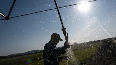 3 Oregon counties at risk of ‘natural and economic disaster conditions,’ governor warns in drought order 3 Oregon counties at risk of ‘natural and economic disaster conditions,’ governor warns in drought order
