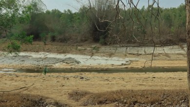 Officials stunned after rare predator is spotted in unexpected location: ‘Currently conducting direct confirmation’ Officials stunned after rare predator is spotted in unexpected location: ‘Currently conducting direct confirmation’