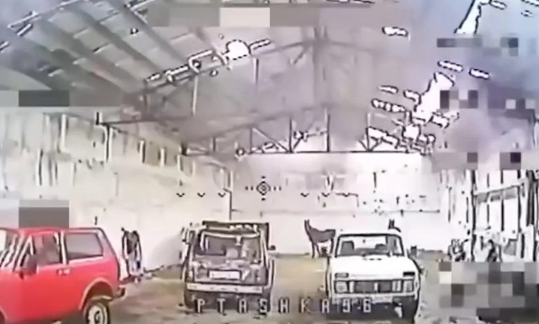 A Ukrainian drone pilot found a hidden Russian arsenal, only to discover it was filled with horses and old cars A Ukrainian drone pilot found a hidden Russian arsenal, only to discover it was filled with horses and old cars