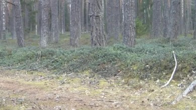 ‘I couldn’t believe what I saw at first’ ‘I couldn’t believe what I saw at first’