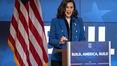 Gov. Gretchen Whitmer calls special election for state Senate seat that could split Michigan chamber Gov. Gretchen Whitmer calls special election for state Senate seat that could split Michigan chamber