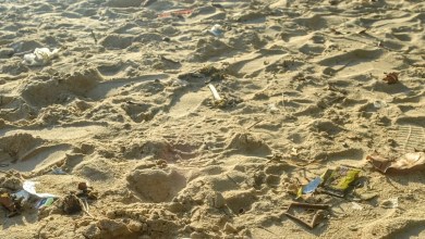 Beachgoer raises concerns with photo of decades-old item found in sand: ‘Tremendously sad’ Beachgoer raises concerns with photo of decades-old item found in sand: ‘Tremendously sad’