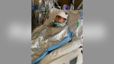 Colorado Woman Left in Critical Condition After Being Attacked By 3 Dogs Outside of Her Home Colorado Woman Left in Critical Condition After Being Attacked By 3 Dogs Outside of Her Home