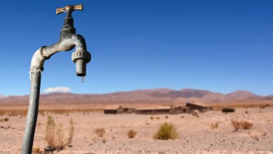 ‘We’ll be pulling up mud’ ‘We’ll be pulling up mud’