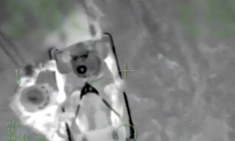 Dad Reported Missing Over 24 Hours After He Went Surfing and Never Returned. Rescuers Found Him Stranded, but Alive Dad Reported Missing Over 24 Hours After He Went Surfing and Never Returned. Rescuers Found Him Stranded, but Alive