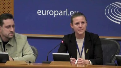 Interpreter breaks down during Ukrainian boy’s testimony to EU Interpreter breaks down during Ukrainian boy’s testimony to EU