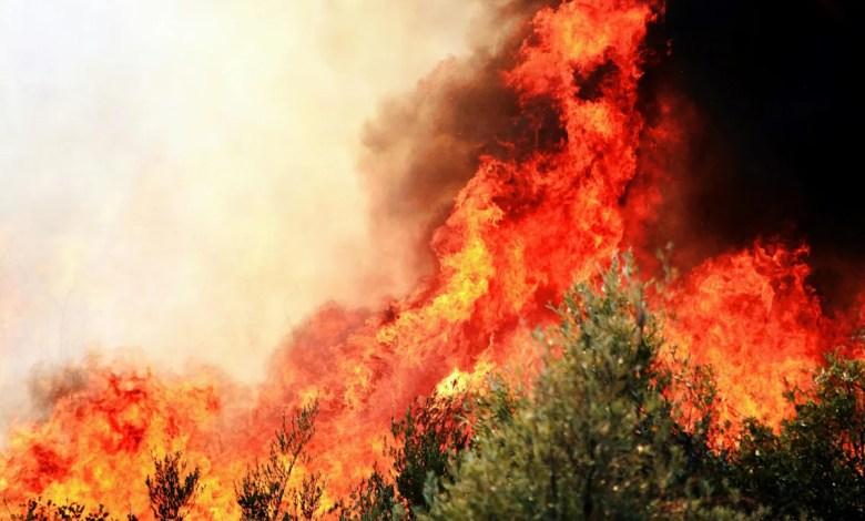 US Wildfires Destroy Record 1.5 Million Acres US Wildfires Destroy Record 1.5 Million Acres