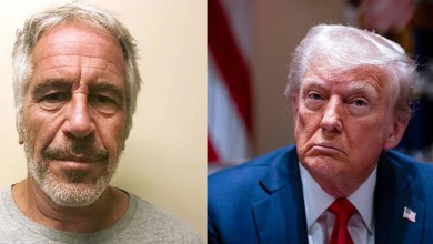 Jeffrey Epstein’s Cellmate Claims The Late Financier Said He Was Offered Freedom If He Would Implicate Trump Jeffrey Epstein’s Cellmate Claims The Late Financier Said He Was Offered Freedom If He Would Implicate Trump