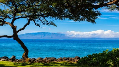 Billionaire entrepreneur sparks outrage after buying almost all of beloved island: ‘Disgusting’ Billionaire entrepreneur sparks outrage after buying almost all of beloved island: ‘Disgusting’