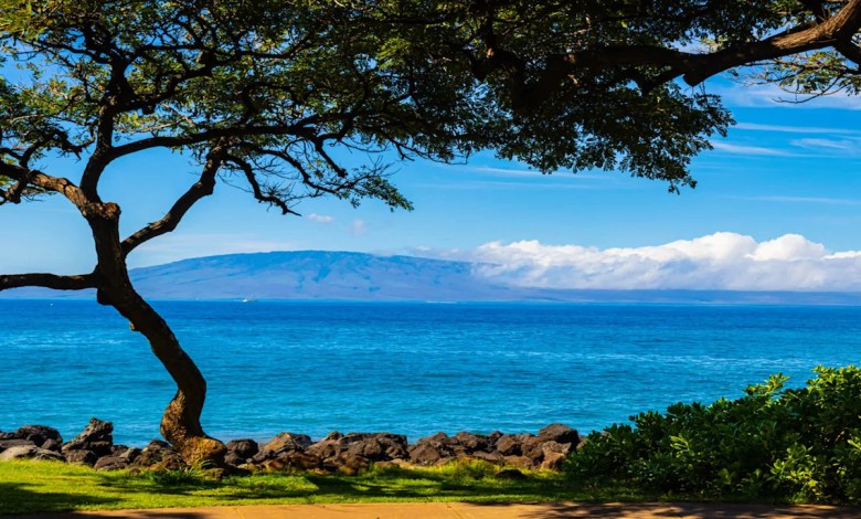 Billionaire entrepreneur sparks outrage after buying almost all of beloved island: ‘Disgusting’ Billionaire entrepreneur sparks outrage after buying almost all of beloved island: ‘Disgusting’