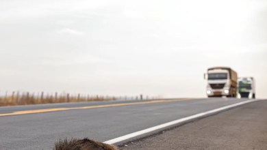 ‘We’re starting to see them more and more’ ‘We’re starting to see them more and more’