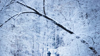 What were the biggest snowstorms in Memphis? See how many inches What were the biggest snowstorms in Memphis? See how many inches