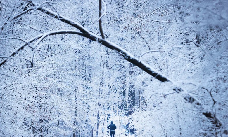 What were the biggest snowstorms in Memphis? See how many inches What were the biggest snowstorms in Memphis? See how many inches