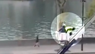 New Louvre heist video shows the moment jewel thieves escaped, as French police say DNA traces found in helmet and gloves New Louvre heist video shows the moment jewel thieves escaped, as French police say DNA traces found in helmet and gloves